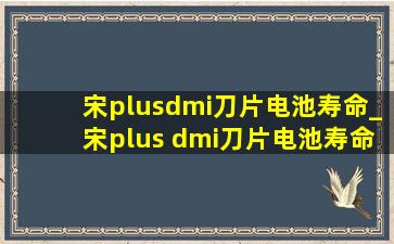 宋plusdmi刀片电池寿命_宋plus dmi刀片电池寿命长吗